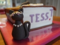 toverboek-details-kat