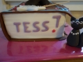 toverboek-details-tess
